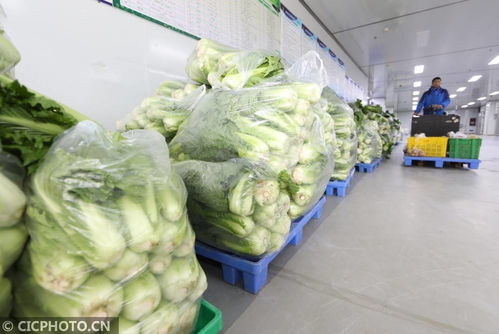 貴州遵義 構建農產品產供銷一條龍體系，以食用農產品初加工保障食品安全