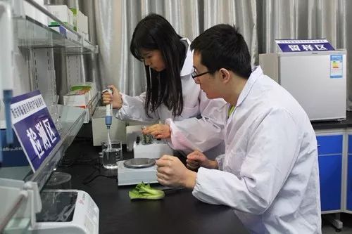 這一年，嚴字當頭 護航舌尖上的安全，食用農產品初加工