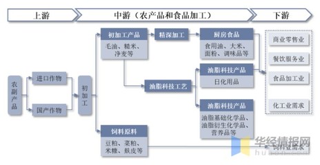 2022年中國糧油加工行業政策分析、競爭格局與食用農產品初加工發展前景